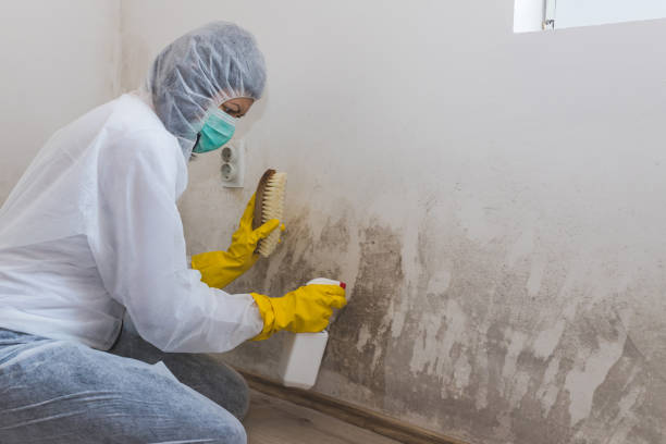 Best Bathroom Mold Remediation in Mustang Ridge, TX
