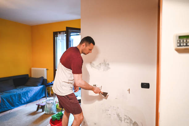 Best Commercial Mold Remediation in Mustang Ridge, TX